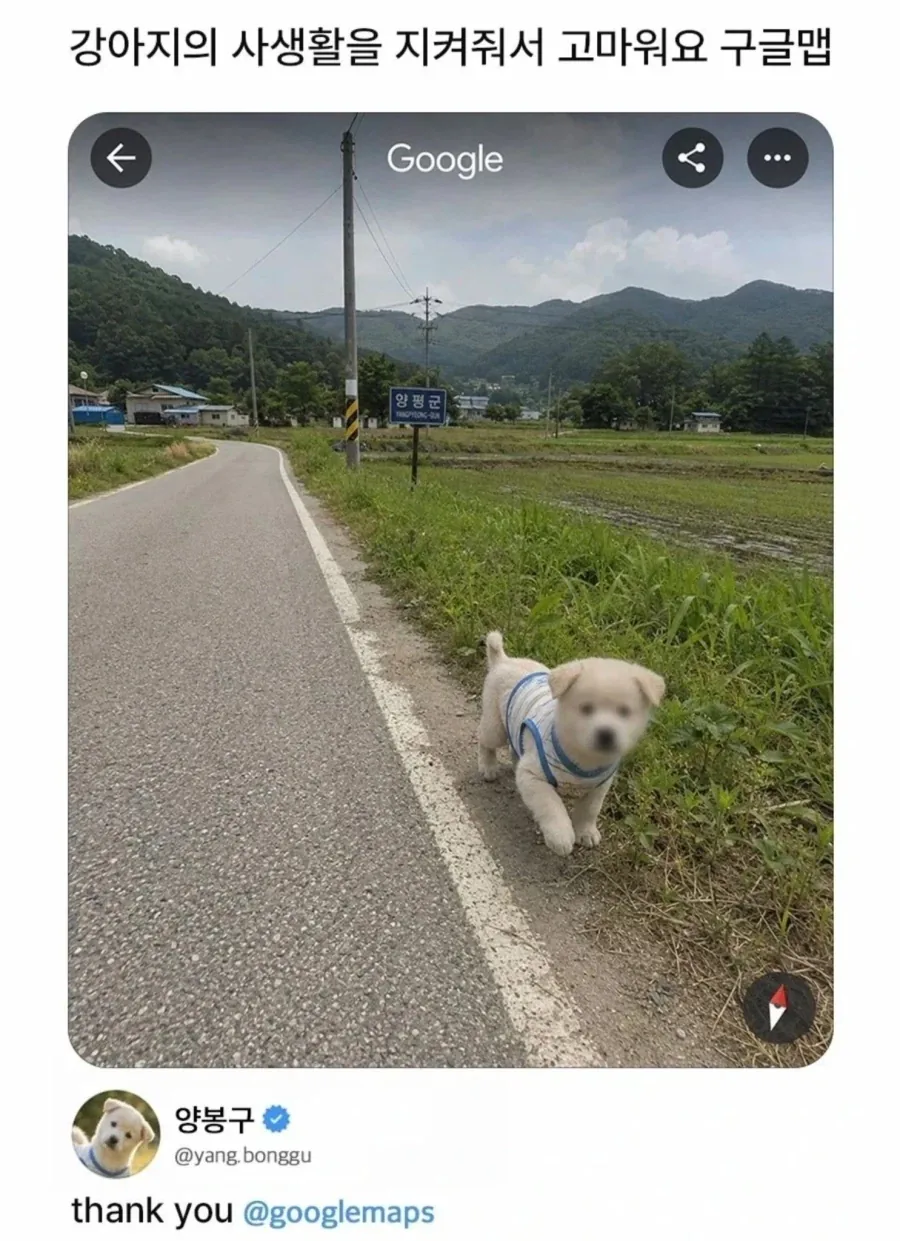귤을 좀 좋아하는 구매자.jpg 대표 이미지
