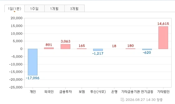 일본 게릴라성 폭우때 찍혔다는 도쿄 디즈니 랜드 이미지 4