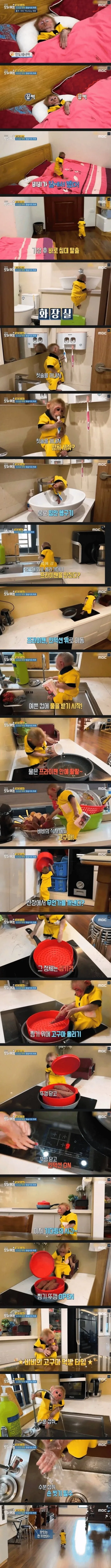호불호 갈리는 젖토피아 이미지 2