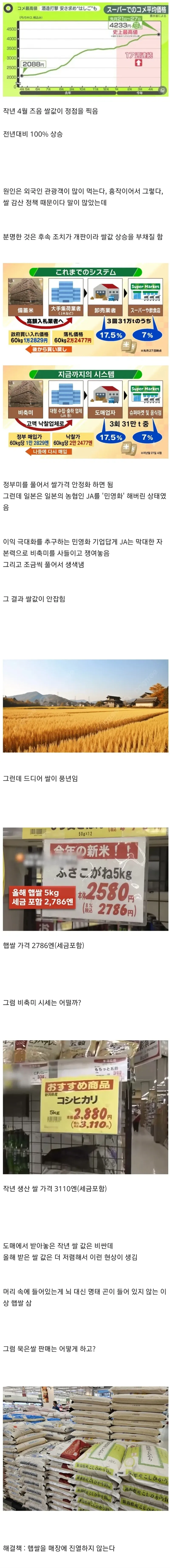 헌터×헌터) "그냥 죠죠를 봐라" 이미지 4