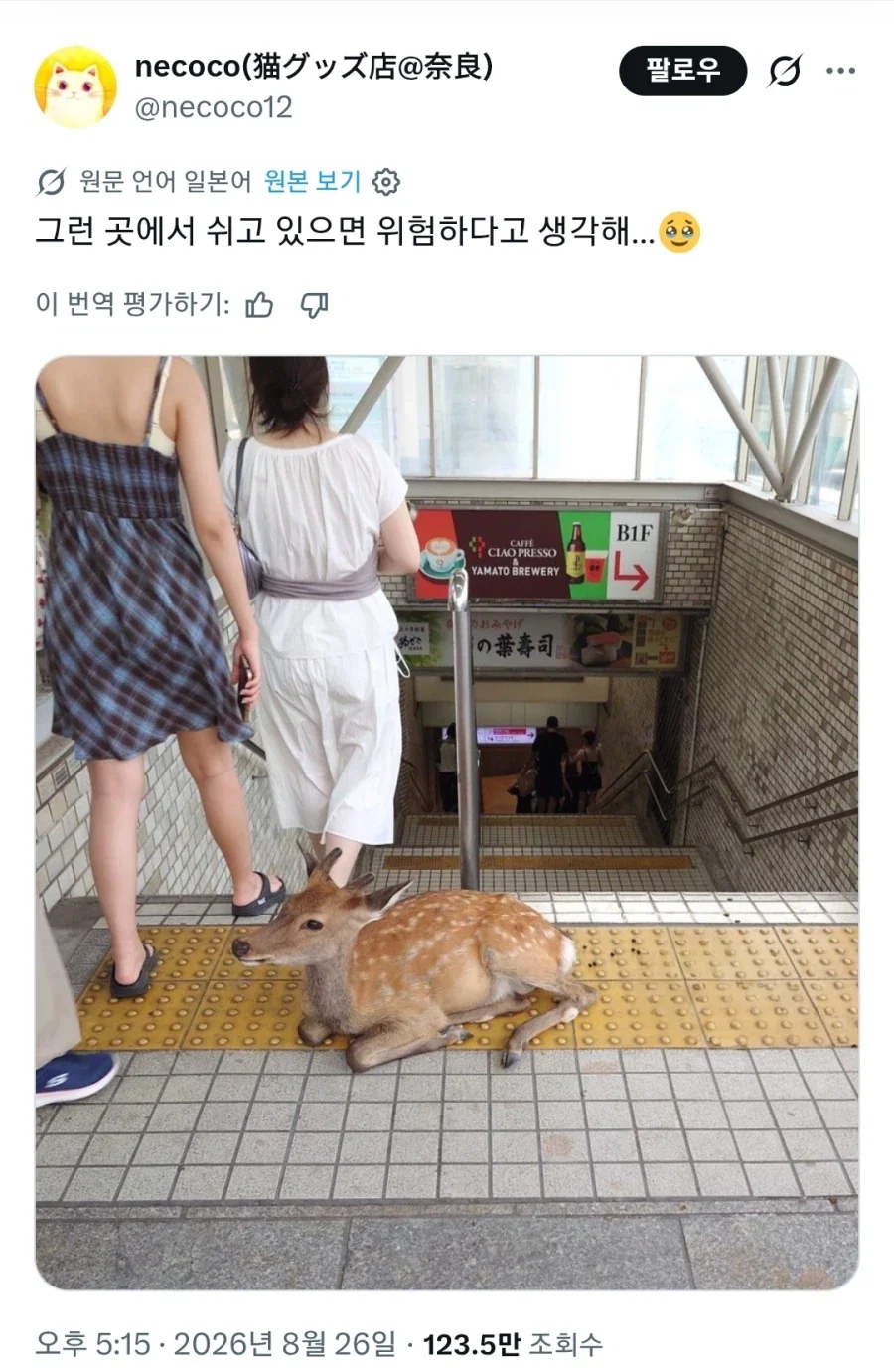 의외로 재판에서 할 수 있는 설득의 기술 이미지 4