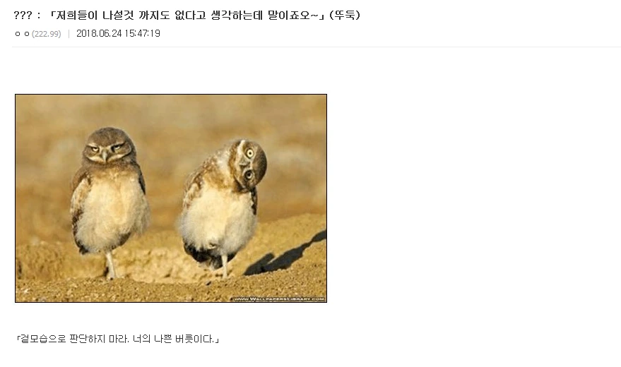 @) 주변사람들은 다 아는 만화 이미지 4
