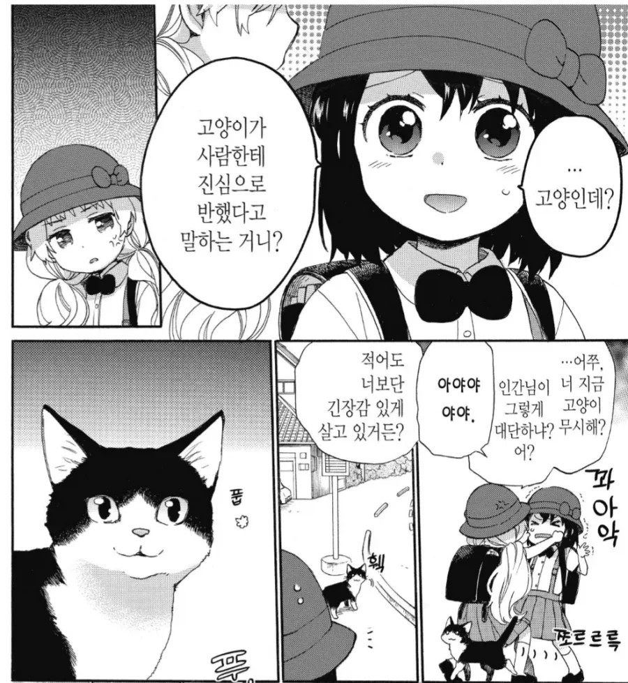 manga_76465447_1116_002.webp