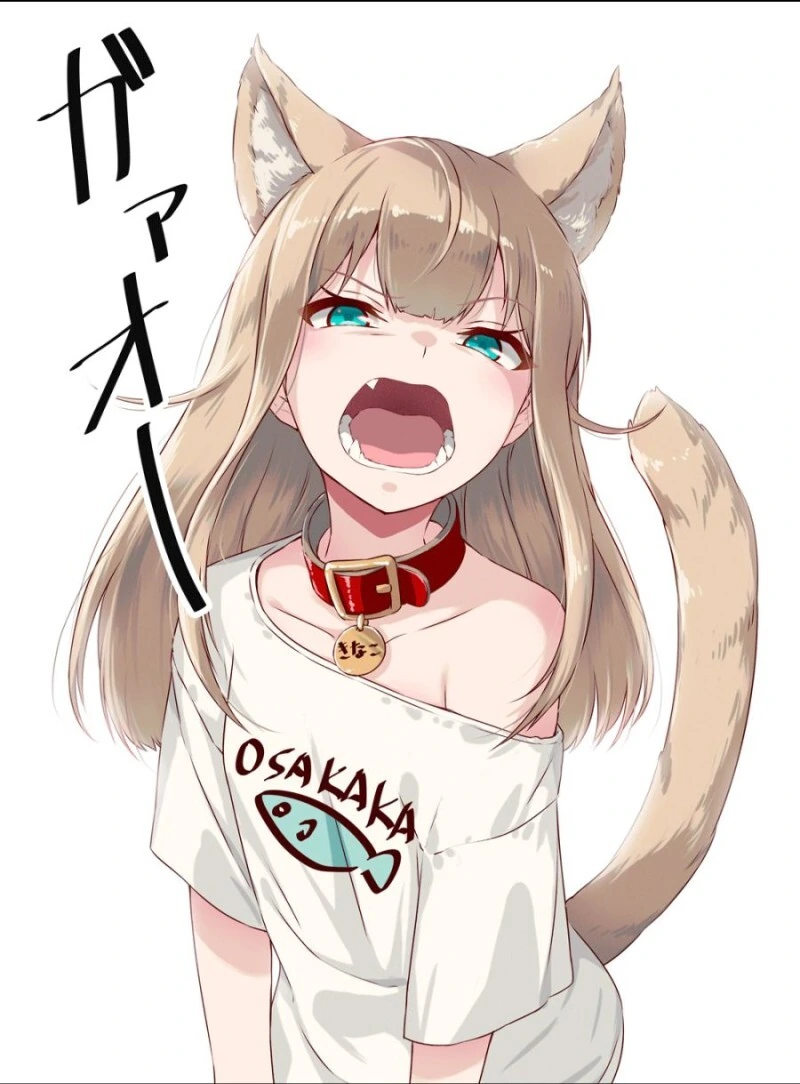 manga_205311_021.webp