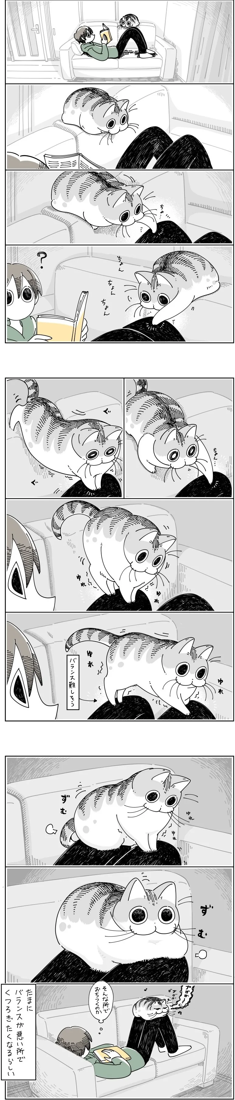 [말딸] 개그에 엄격한 타마쨩.manhwa 이미지 4