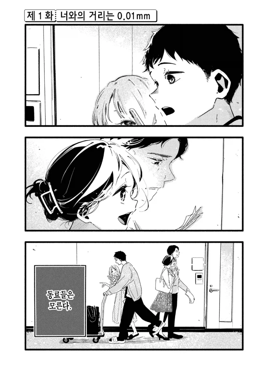 [말딸] 나이스타킹 네이쳐vs스타킹 헤일로 대표 이미지