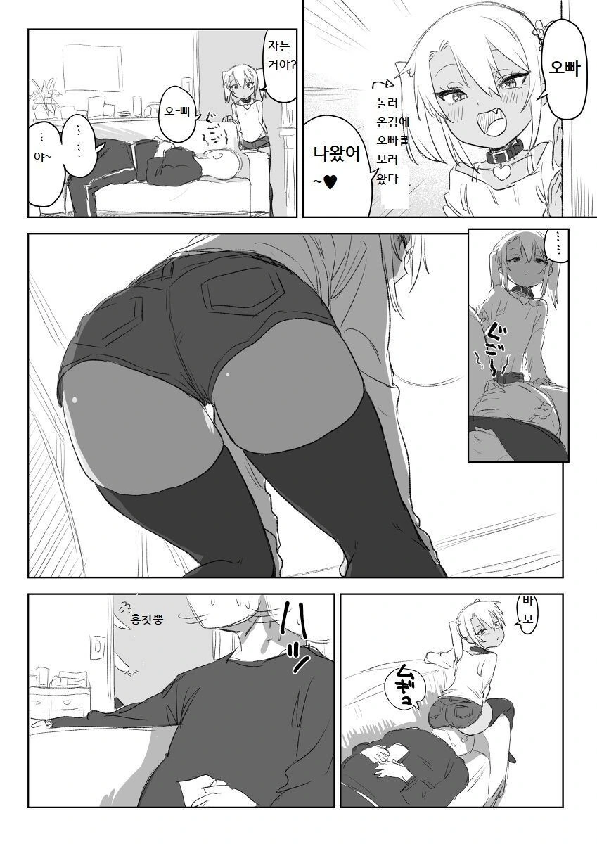 양키들 뚱보 왕방댕이 게이짤이 왜캐 많나 했더니 이미지 2