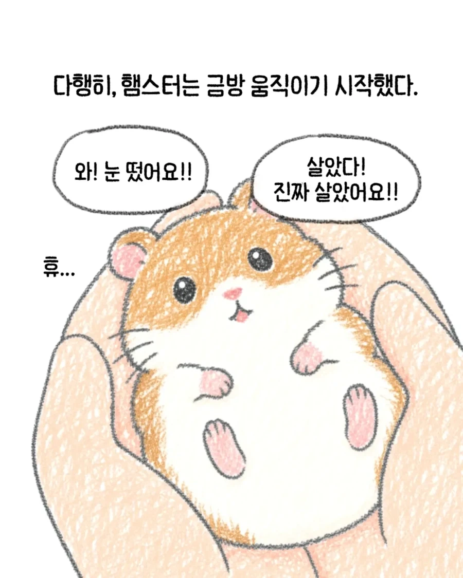 manga_76486331_fd5e_005.webp