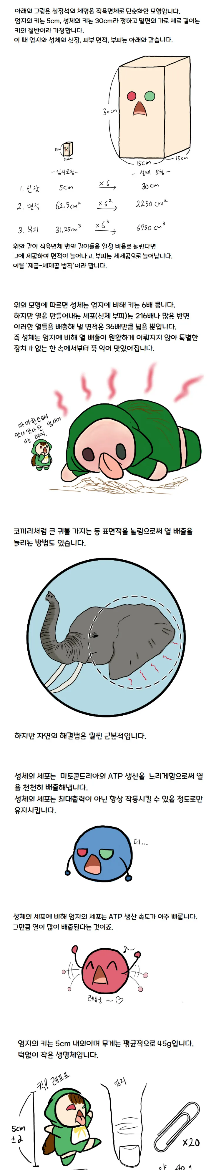 manga_2346552_002.webp