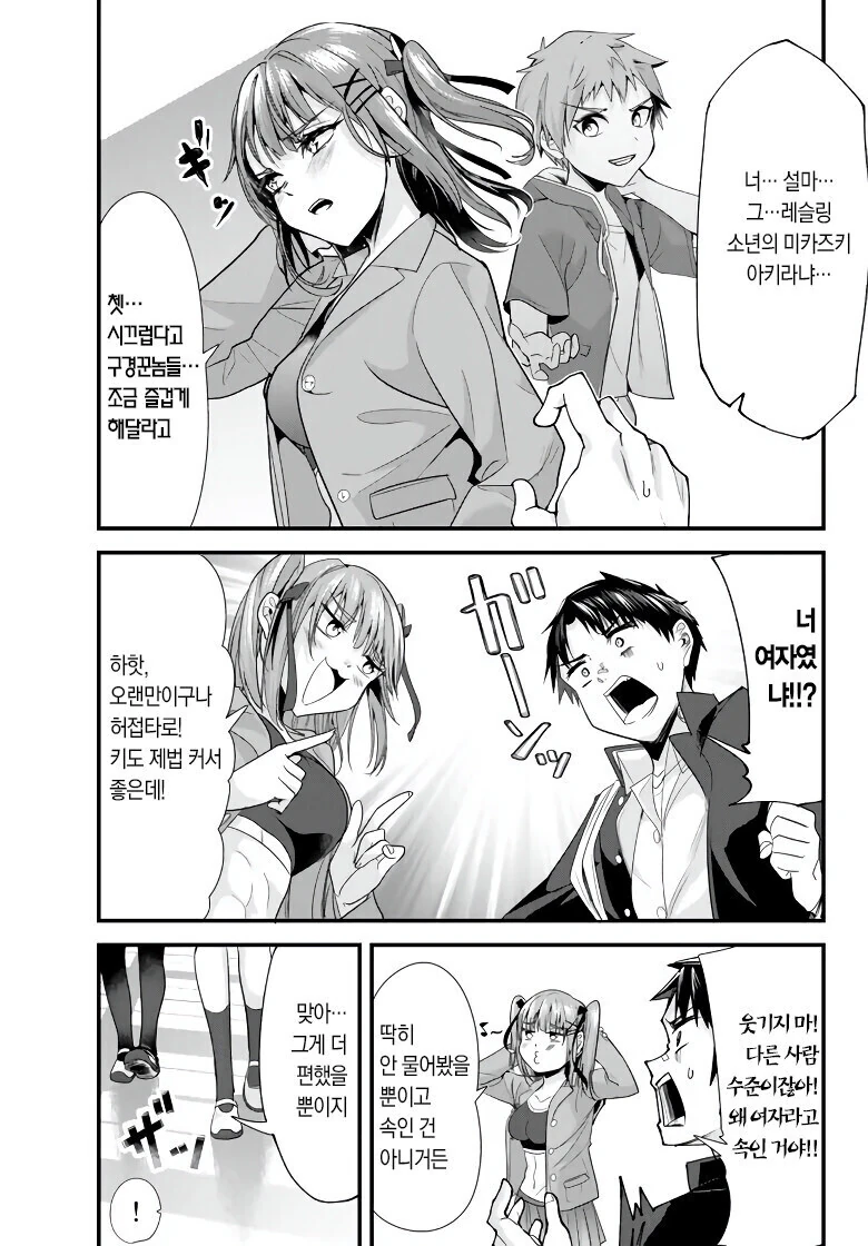 manga_2914516_010.webp