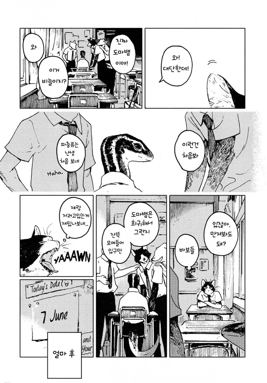 manga_570967_002.webp