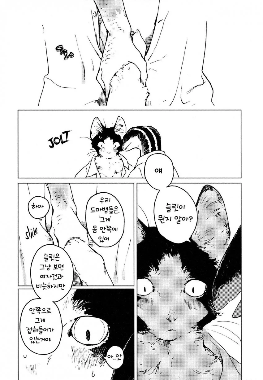 manga_570967_016.webp