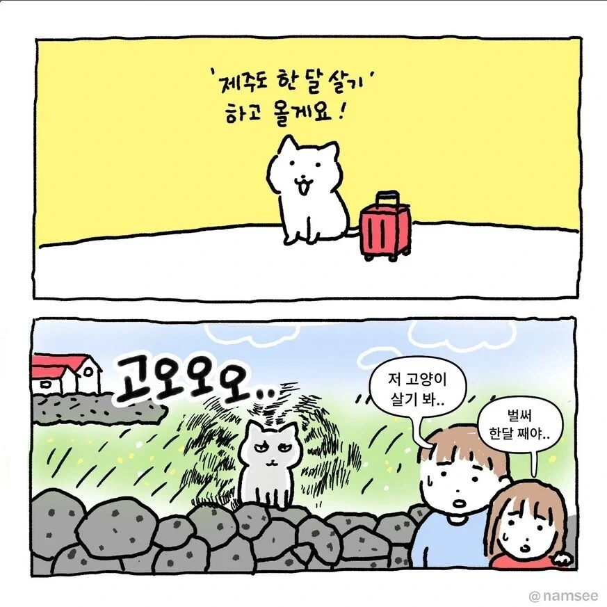 조금 위험한 토끼와 거북이 만화 이미지 2