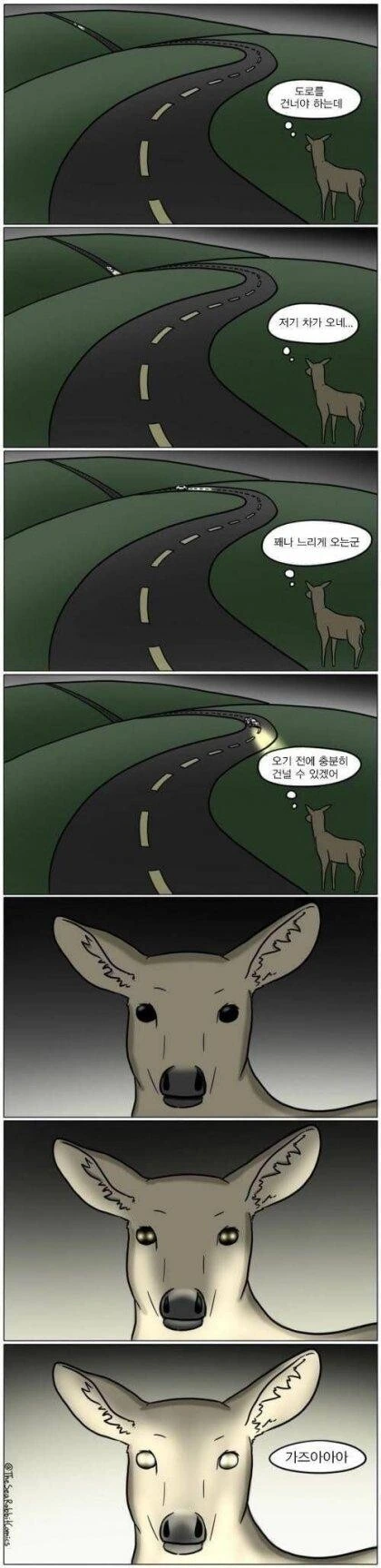 로드킬 manhwa - 이미지 2