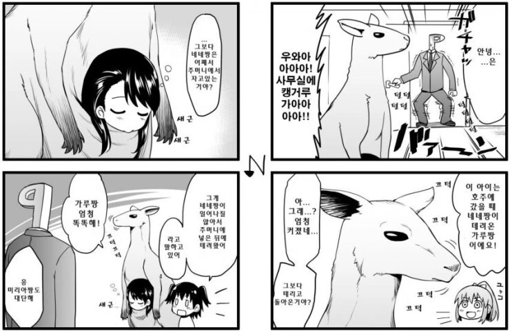 @) 네네와 캥거루 만화