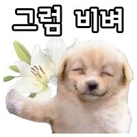 ㅎㄹ왕국을 건설한 남자 이미지 4