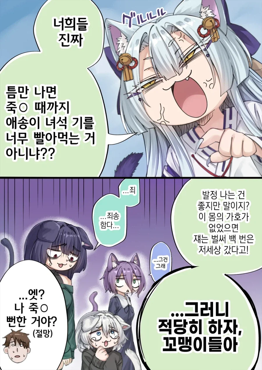 개다래 주술에 걸리는 만화_13.webp