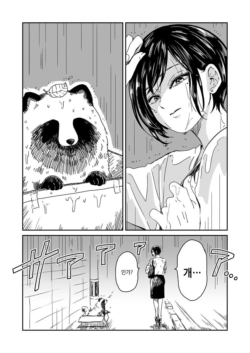 멍멍이 줍는 만화.manhwa