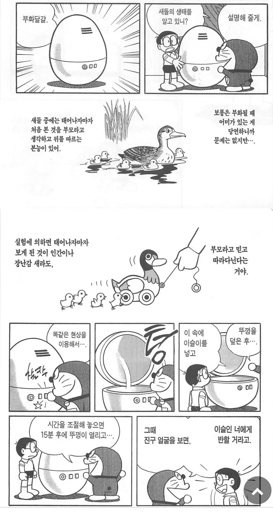 납치 감금 세뇌를 동시에 하는 만화.manga