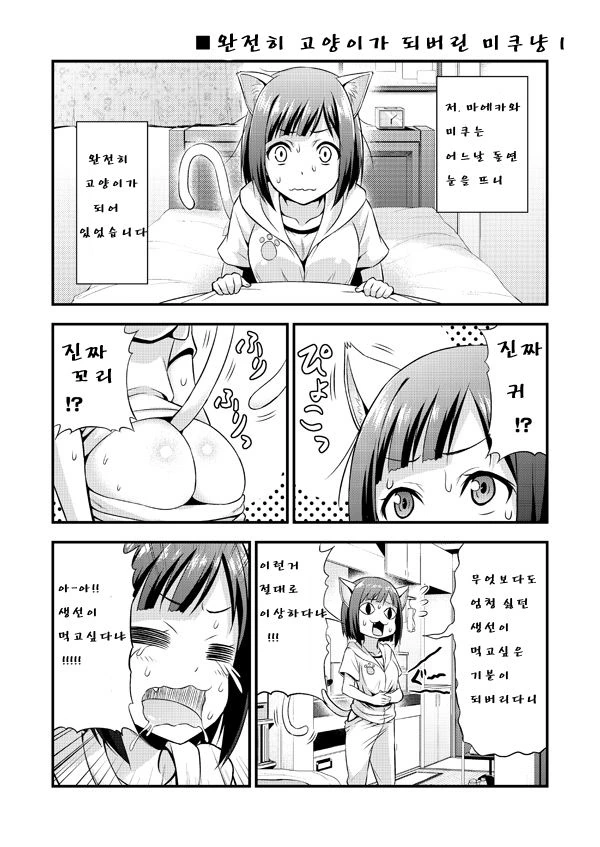 @) ㅂㅈ난 고양이 만화.manhwa