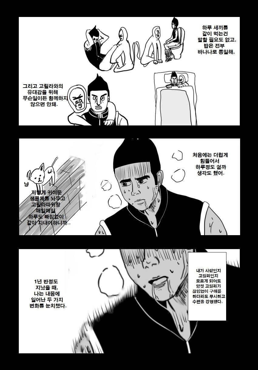 헌터x헌터] 캣 엠페러 타임이 의미가 없는 이유.manhwa - 이미지 2