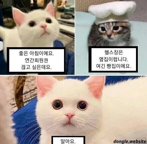 연간회원권 끊는 만화.jpg