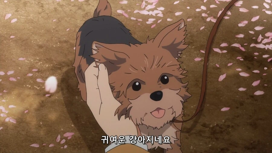 @) 개 따.먹고 싶은 아이돌 두명 - 이미지 2