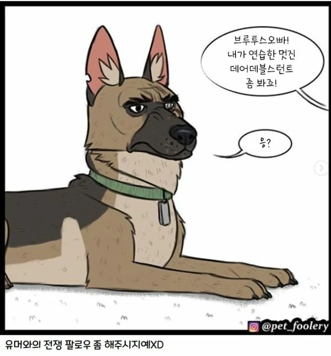 은퇴한 군견과 새끼 고양이 만화 3편