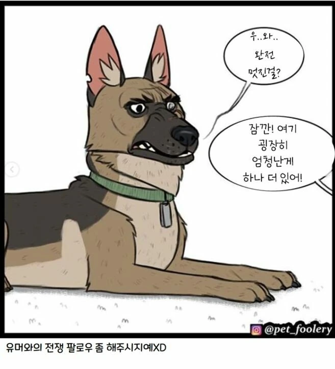 은퇴한 군견과 새끼 고양이 만화 3편 - 이미지 5