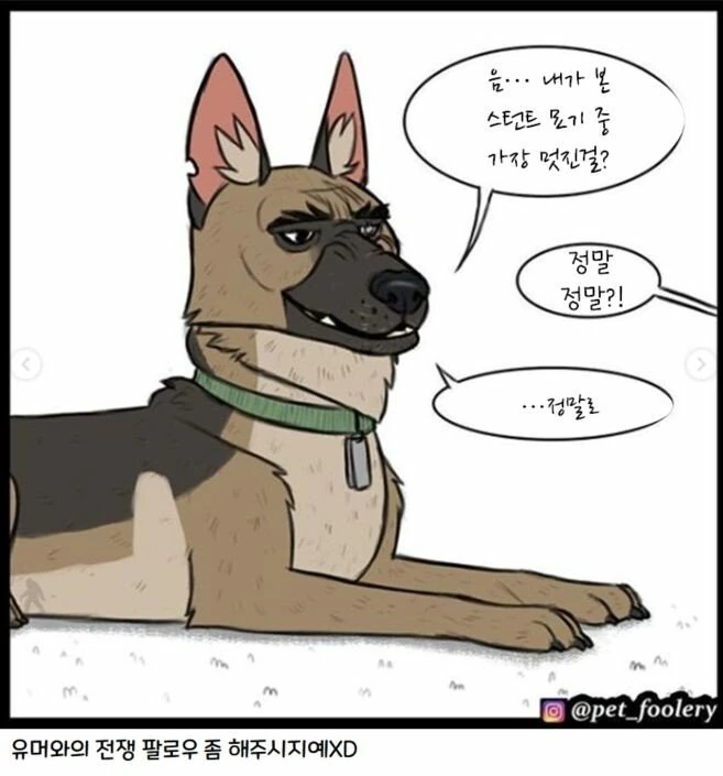 은퇴한 군견과 새끼 고양이 만화 3편 - 이미지 9