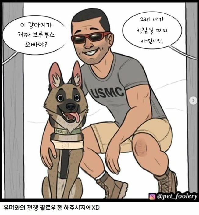 은퇴한 군견과 새끼 고양이 만화 3편 - 이미지 18