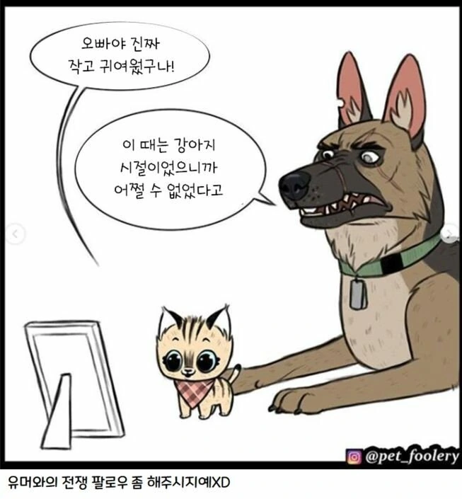 은퇴한 군견과 새끼 고양이 만화 3편 - 이미지 19