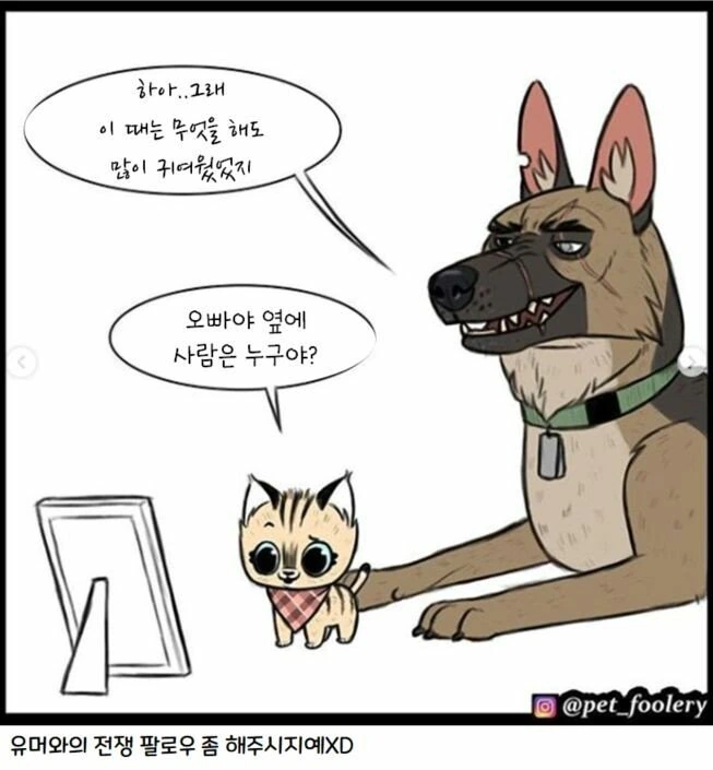 은퇴한 군견과 새끼 고양이 만화 3편 - 이미지 20