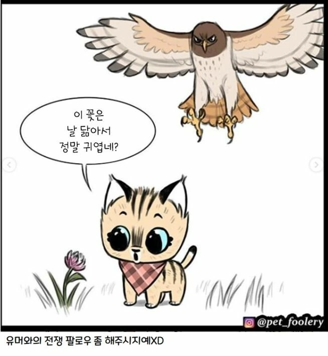 은퇴한 군견과 새끼 고양이 만화 3편 - 이미지 25