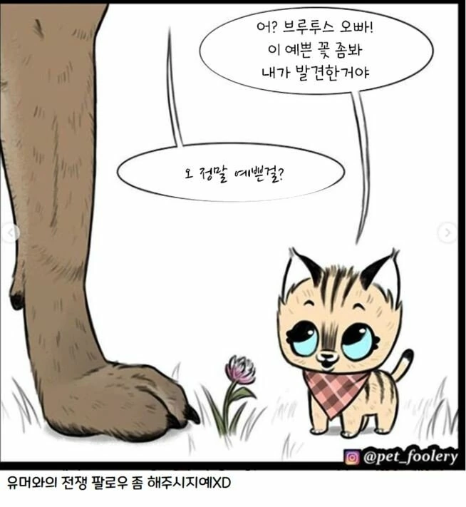 은퇴한 군견과 새끼 고양이 만화 3편 - 이미지 27