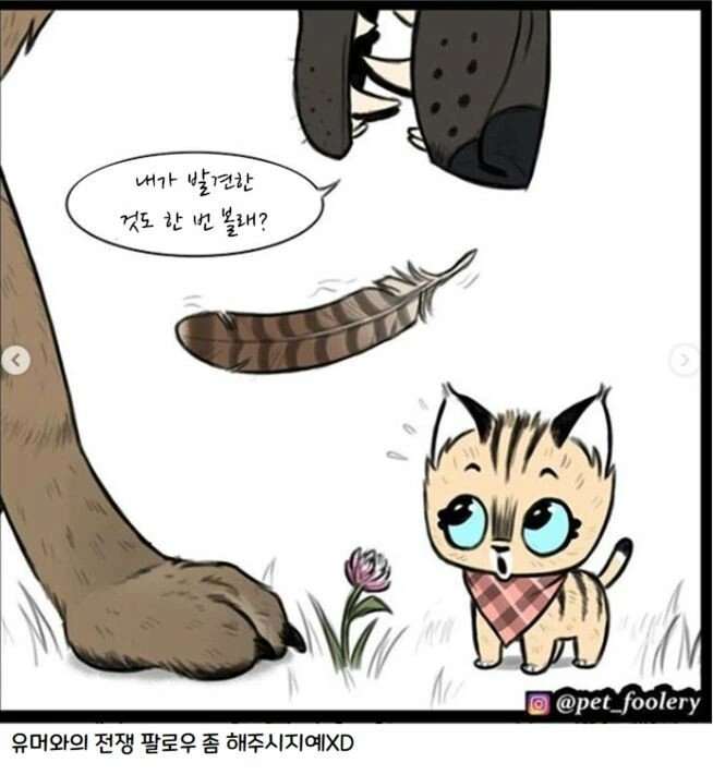 은퇴한 군견과 새끼 고양이 만화 3편 - 이미지 28