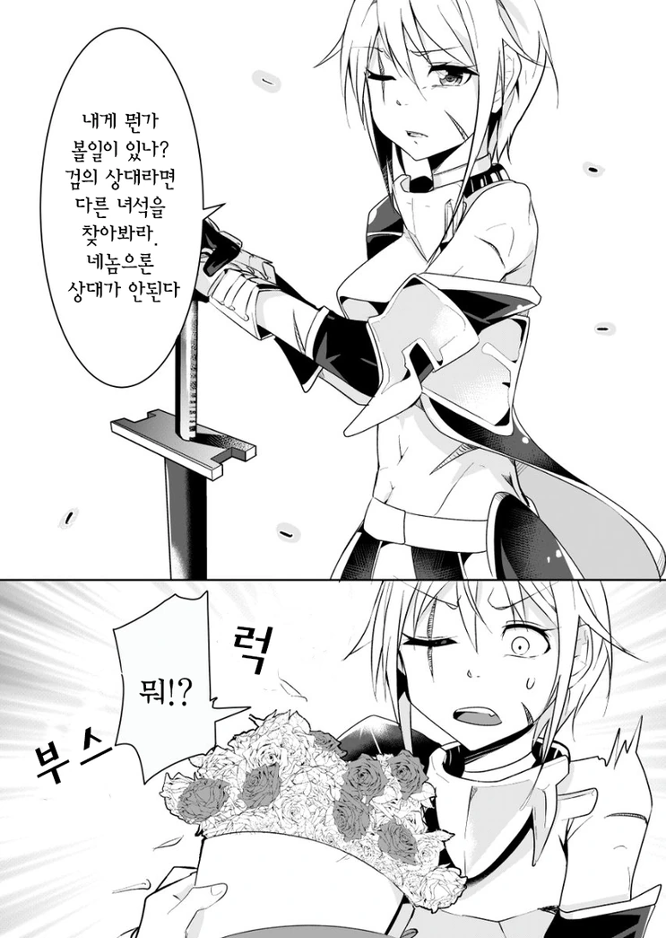 한평생을 기사로 살아온 그녀에게.manhwa