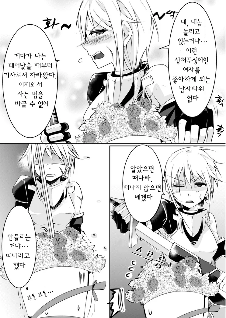 한평생을 기사로 살아온 그녀에게.manhwa - 이미지 3