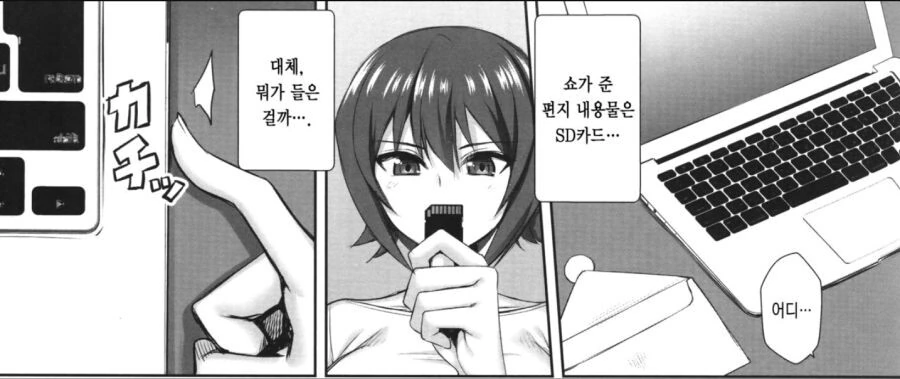 어느날 옆집 아이가 SD카드를 건네줬다