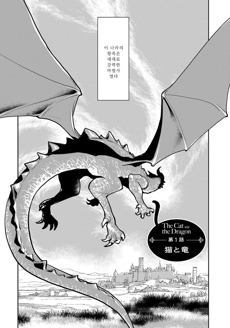 스압)고양이랑 함께 자란 드래곤.manhwa