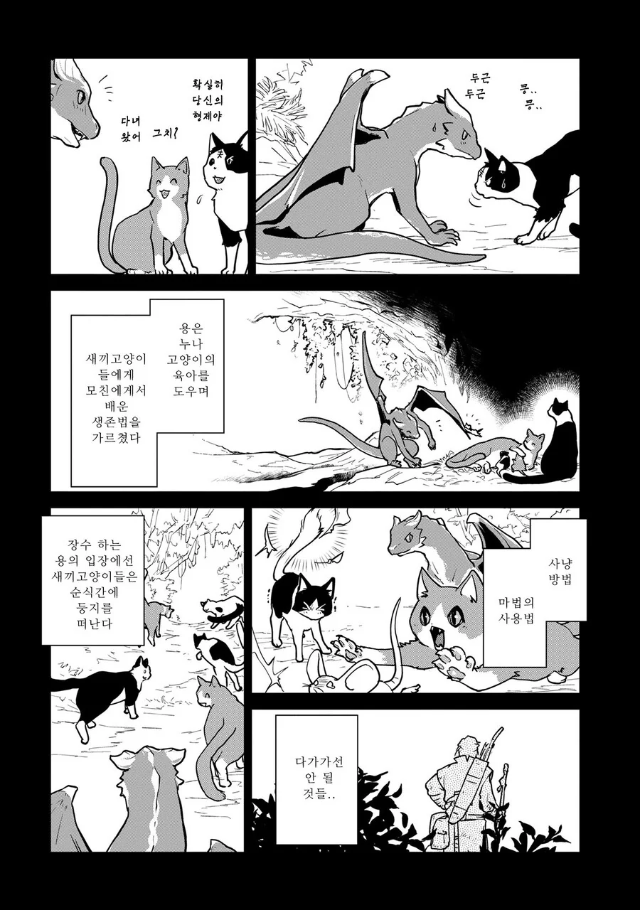 스압)고양이랑 함께 자란 드래곤.manhwa - 이미지 25