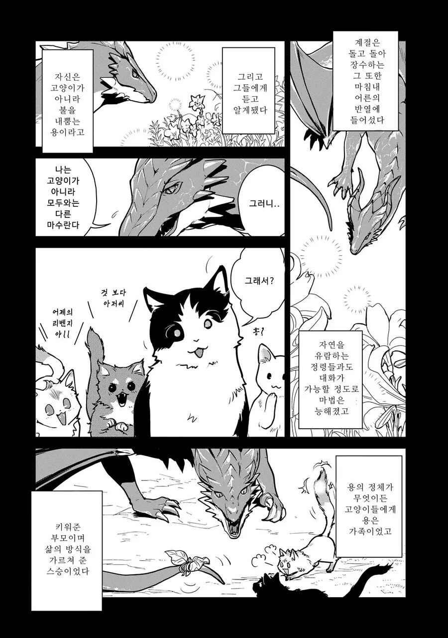 스압)고양이랑 함께 자란 드래곤.manhwa - 이미지 27