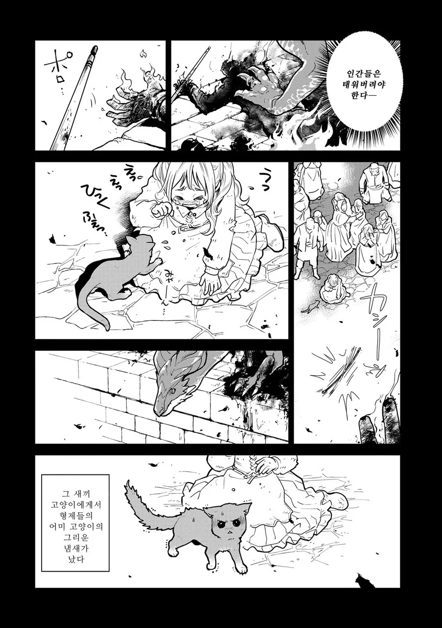 스압)고양이랑 함께 자란 드래곤.manhwa - 이미지 31