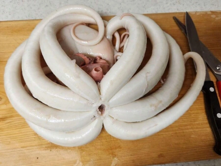 (문어) 요리 만화에서도 못본 문어 손질.JPG - 이미지 3