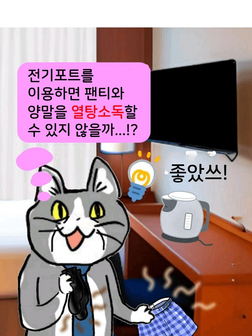 채-신 ㅈ소고양이 만화