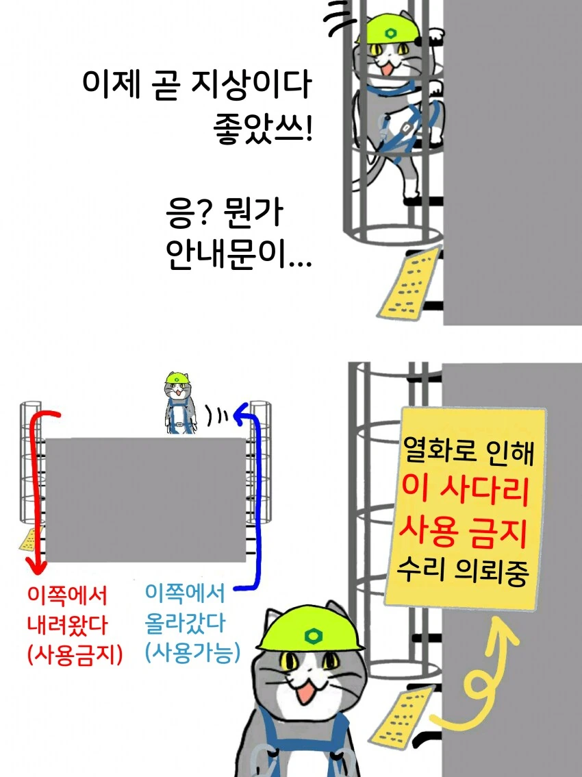 채-신 ㅈ소고양이 만화 - 이미지 4