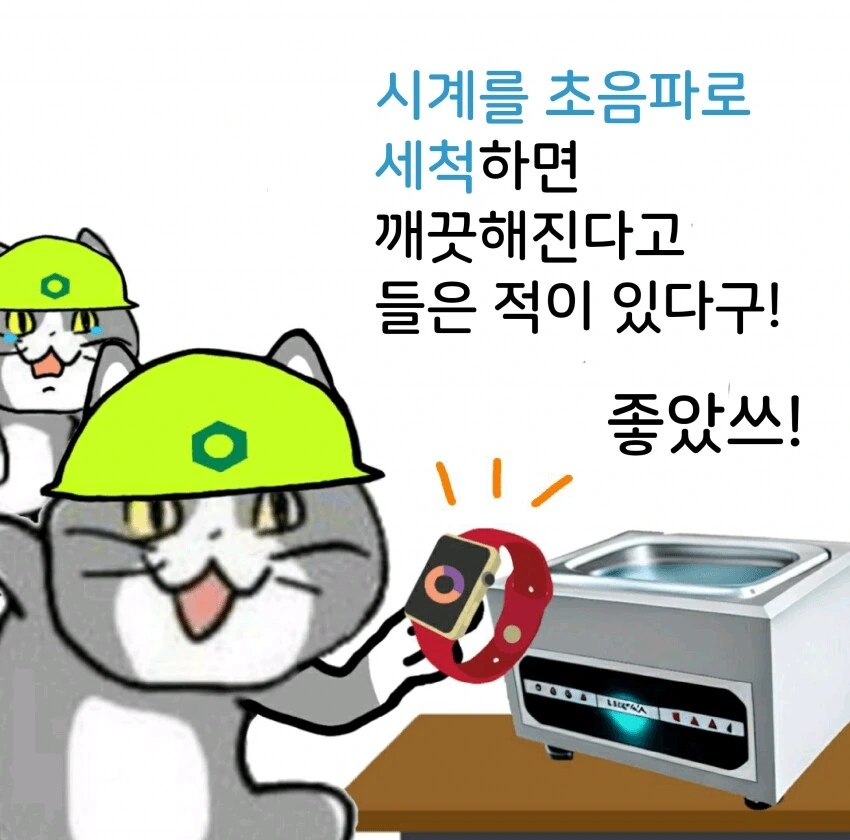 채-신 ㅈ소고양이 만화 - 이미지 8