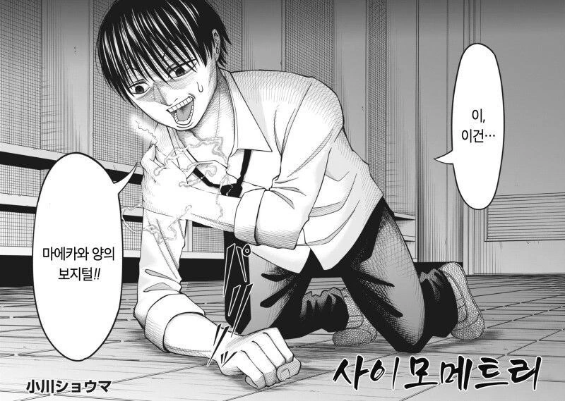 ㅂㅈ털 구별하는 만화 - 이미지 2