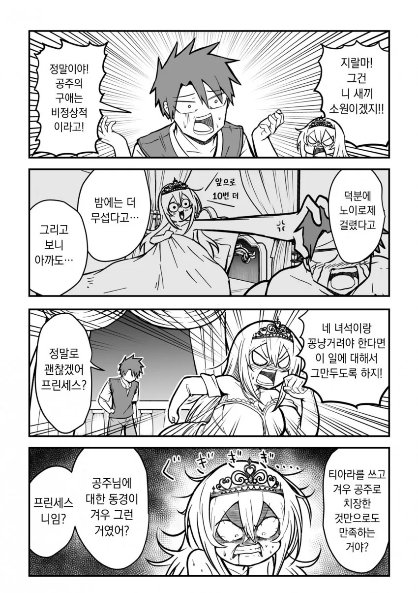 공주를 암살하려온 암살자 4 manga - 이미지 2
