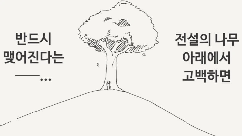 나무 아래에서 고백하면 반드시 맺어진다는 전설의 나무 만화